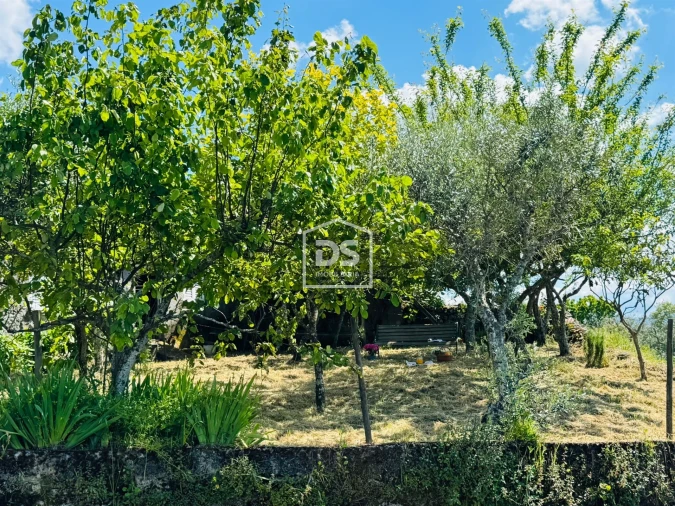 Moradia T1 para Venda em Cortiçô da Serra, Vide Entre Vinhas e Salgueirais Foto 7