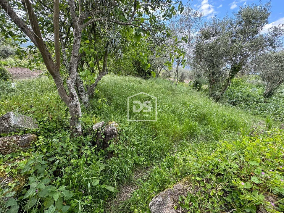 Moradia T1 para Venda em Cortiçô da Serra, Vide Entre Vinhas e Salgueirais Foto 50