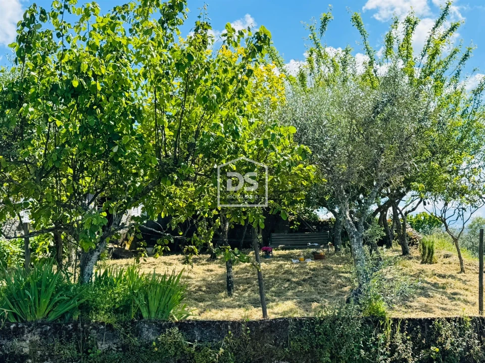 Moradia T1 para Venda em Cortiçô da Serra, Vide Entre Vinhas e Salgueirais Foto 7