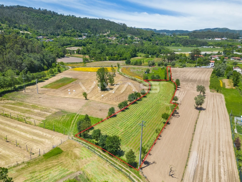 Terreno para Venda em Vila Verde e Barbudo Foto 2