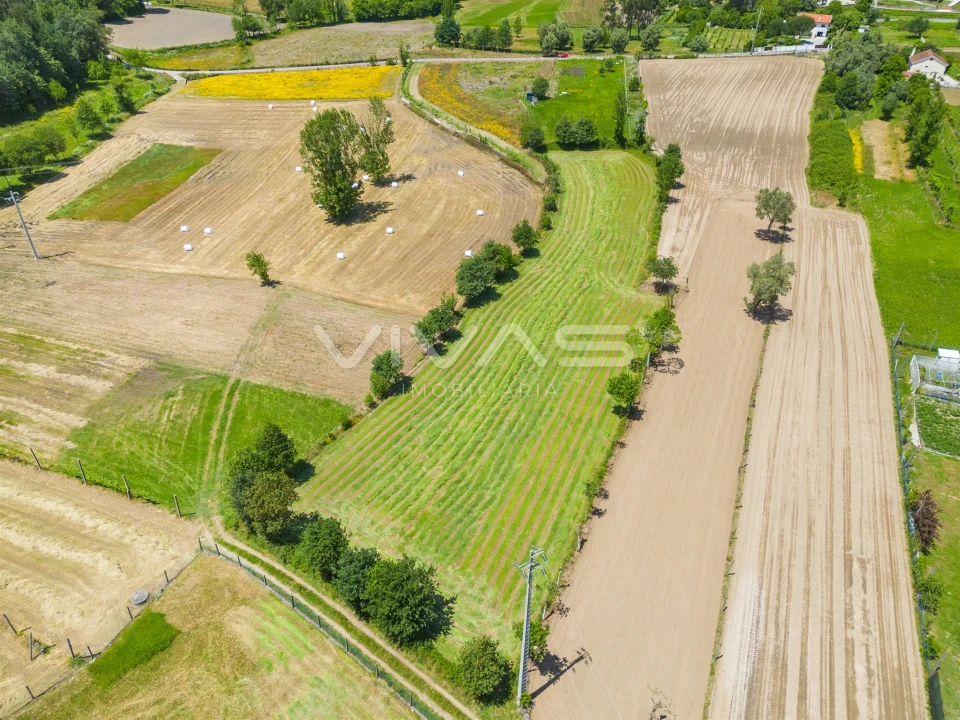 Terreno para Venda em Vila Verde e Barbudo Foto 22