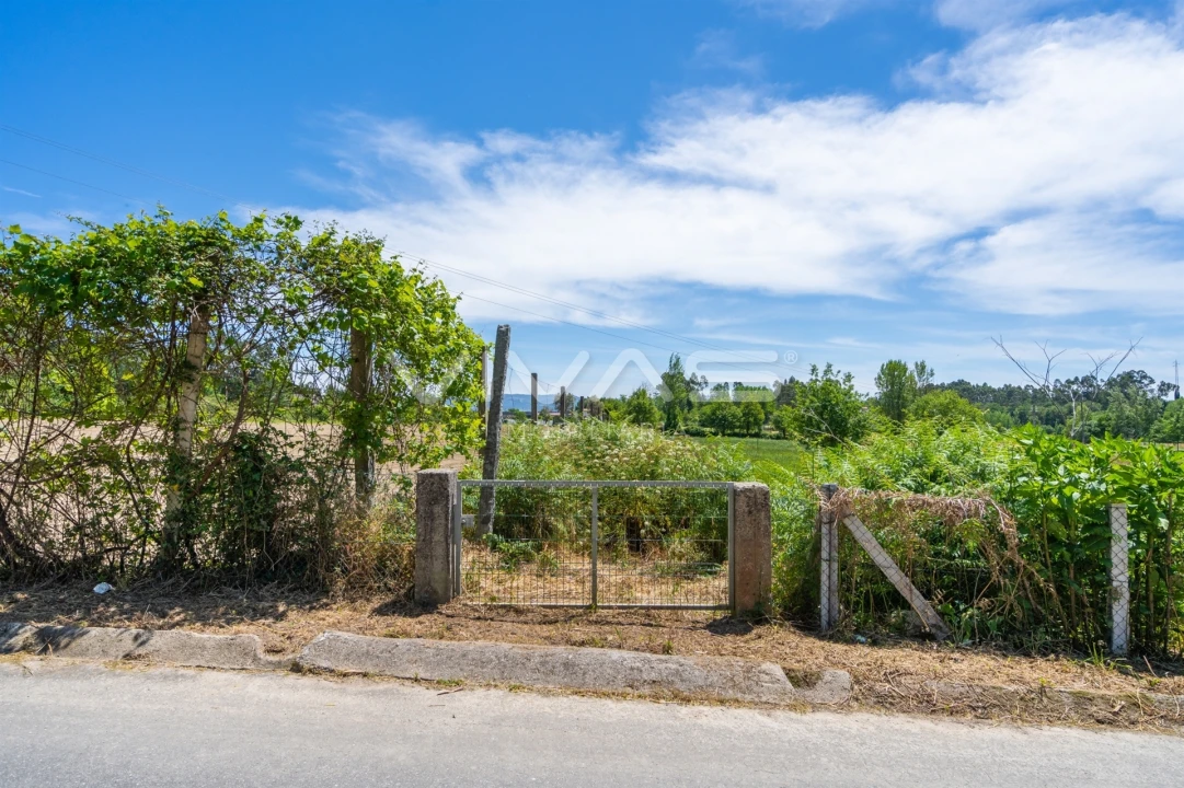 Terreno para Venda em Vila Verde e Barbudo Foto 9