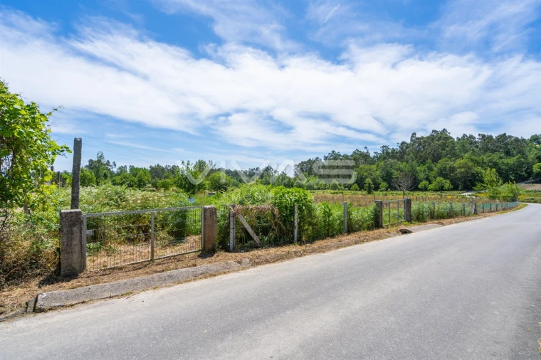 Terreno para Venda em Vila Verde e Barbudo Foto 10