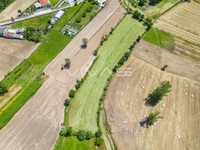 Terreno para Venda em Vila Verde e Barbudo Foto 15