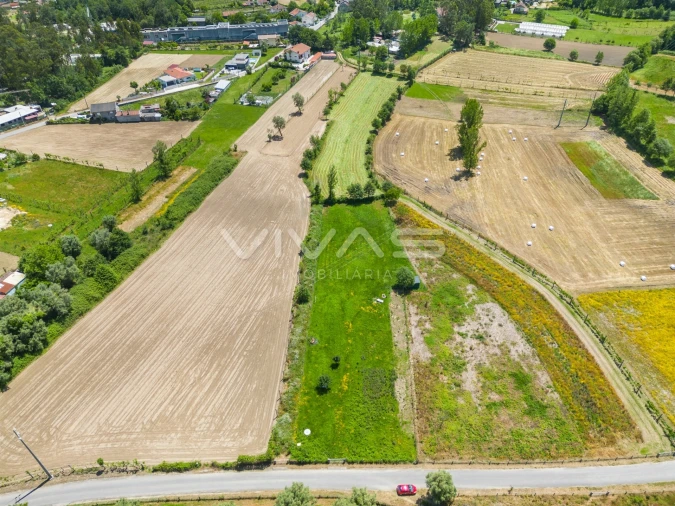 Terreno para Venda em Vila Verde e Barbudo Foto 14