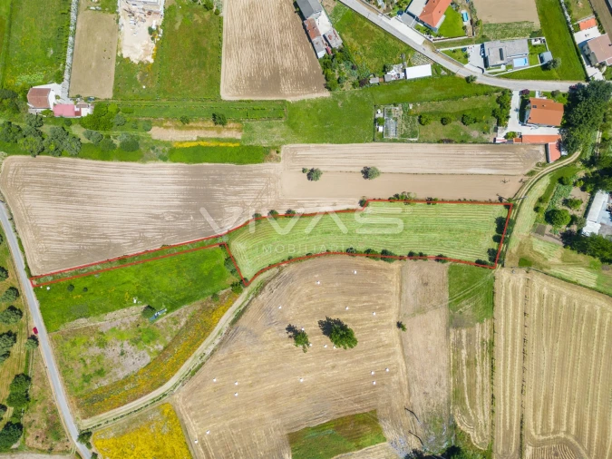 Terreno para Venda em Vila Verde e Barbudo Foto 7
