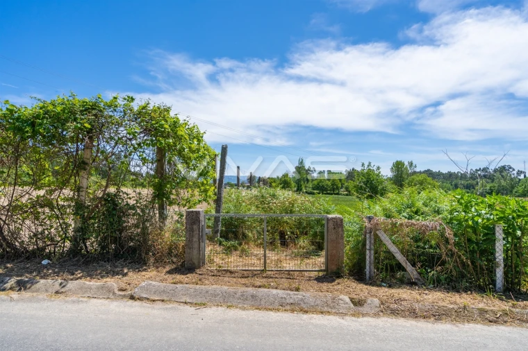 Terreno para Venda em Vila Verde e Barbudo Foto 9