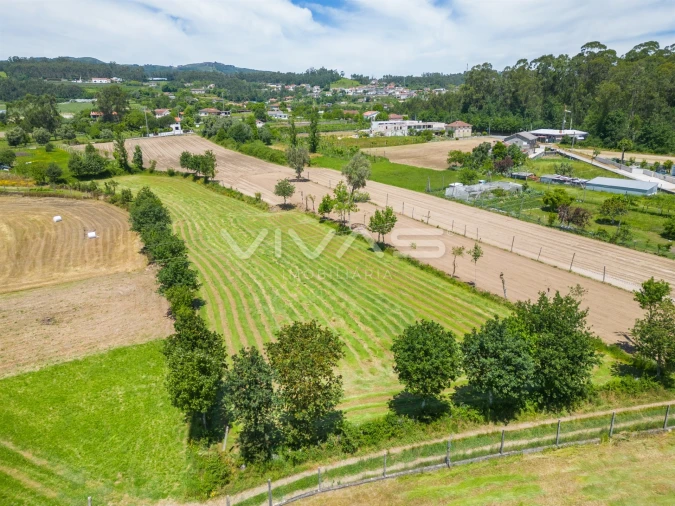 Terreno para Venda em Vila Verde e Barbudo Foto 23