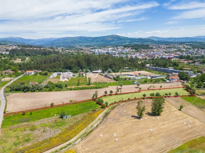 Terreno para Venda em Vila Verde e Barbudo Foto 6