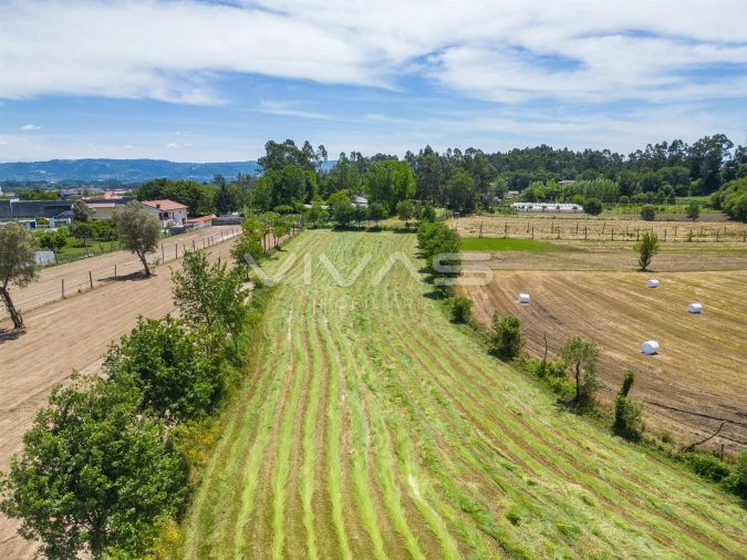 Terreno para Venda em Vila Verde e Barbudo Foto 19