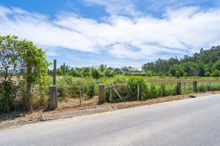 Terreno para Venda em Vila Verde e Barbudo Foto 11