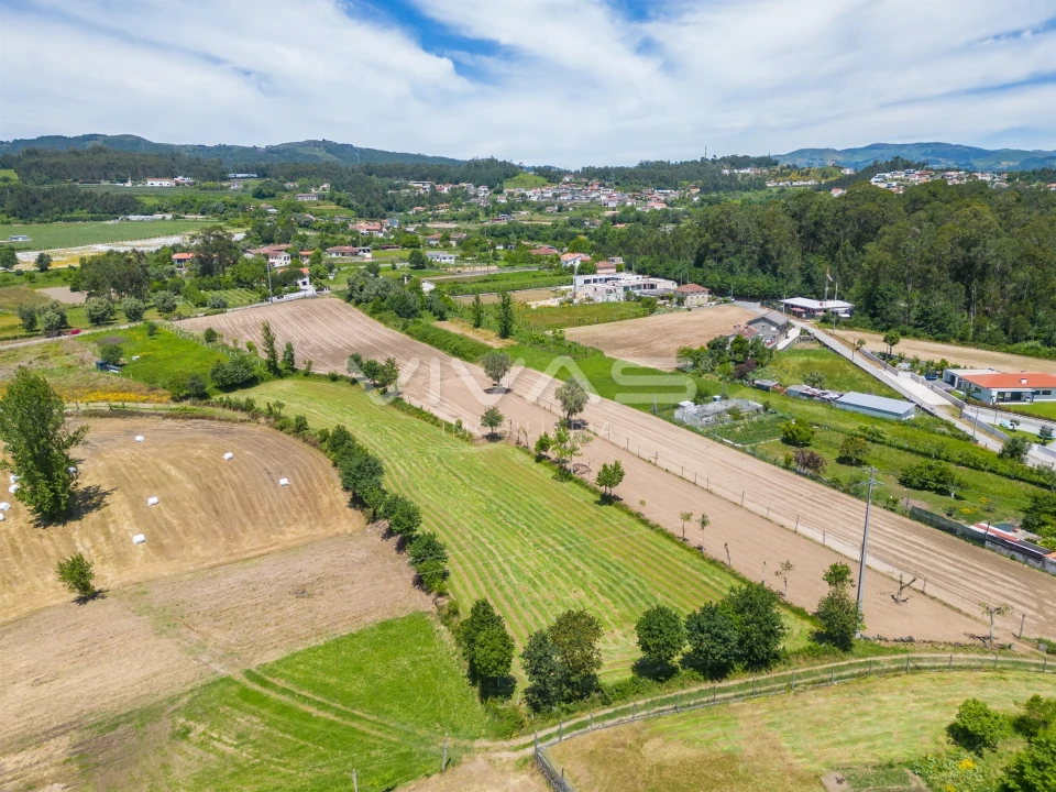 Terreno para Venda em Vila Verde e Barbudo Foto 21