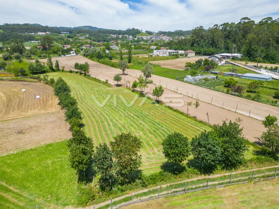Terreno para Venda em Vila Verde e Barbudo Foto 23