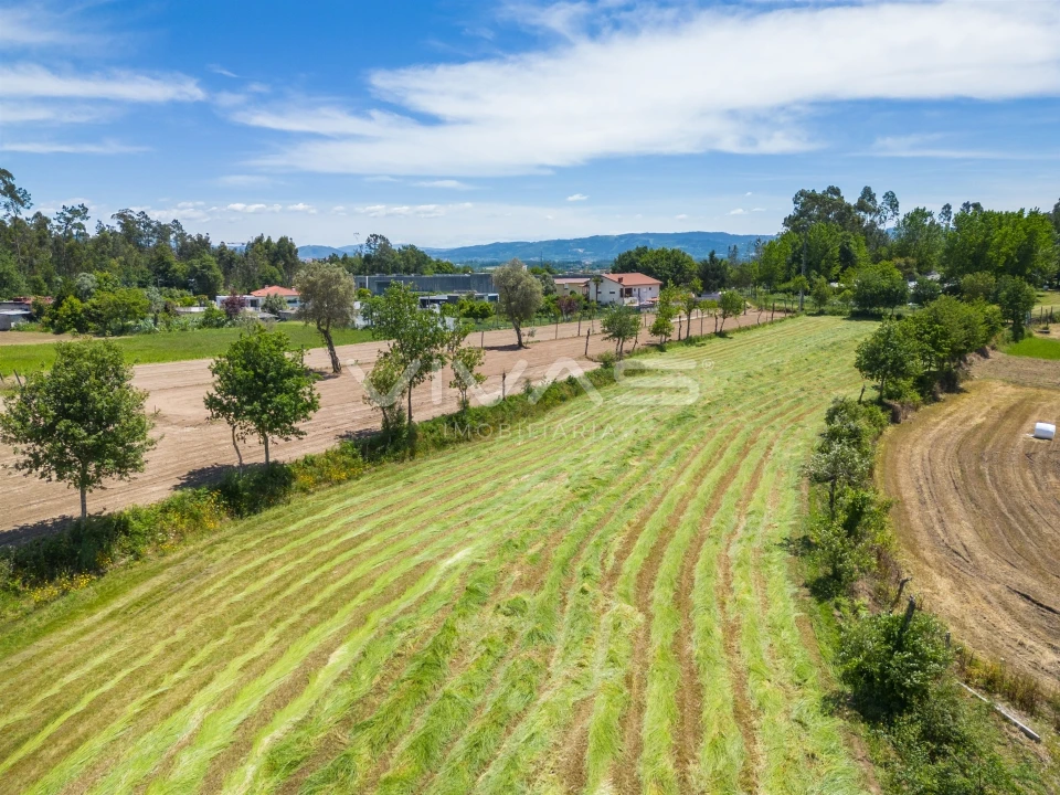 Terreno para Venda em Vila Verde e Barbudo Foto 20