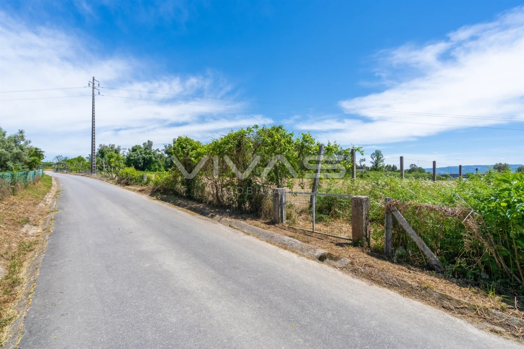 Terreno para Venda em Vila Verde e Barbudo Foto 8