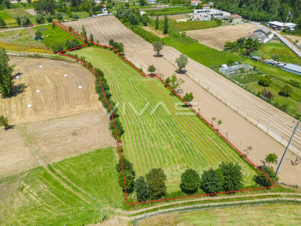 Terreno para Venda em Vila Verde e Barbudo Foto 1