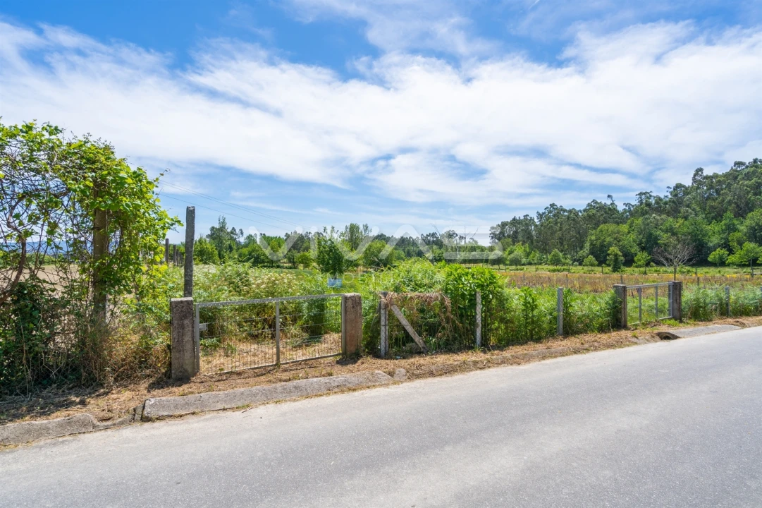 Terreno para Venda em Vila Verde e Barbudo Foto 11