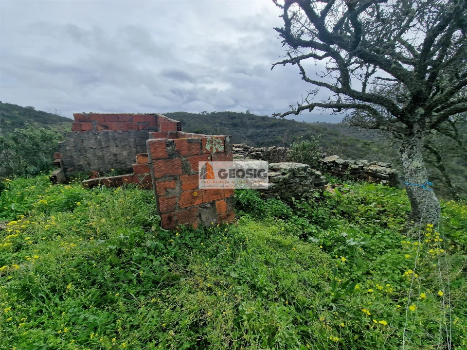 Terreno Agricola ou Rústico para Venda em Santana da Serra Foto 6