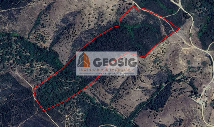 Terreno Agricola ou Rústico para Venda em Santana da Serra Foto 8