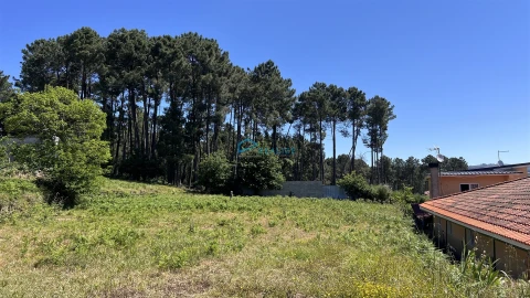 Terreno para Venda em Borbela e Lamas de Olo