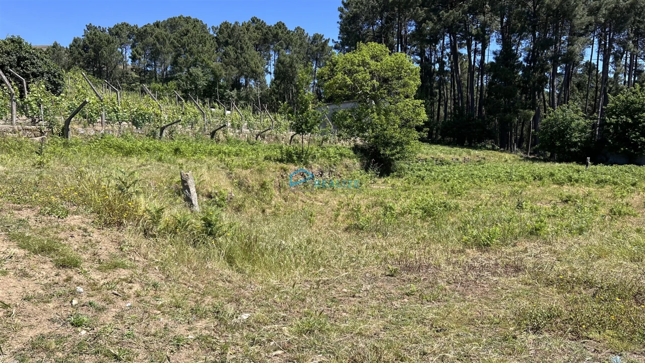 Terreno para Venda em Borbela e Lamas de Olo Foto 4