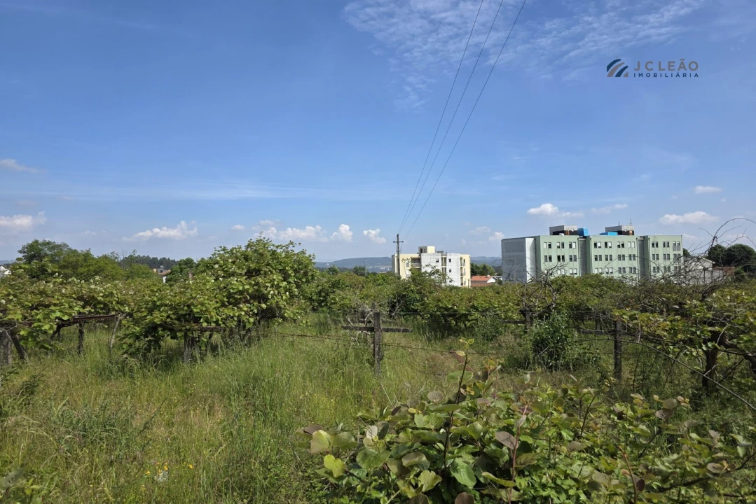 Terreno para Venda em Baltar Foto 13
