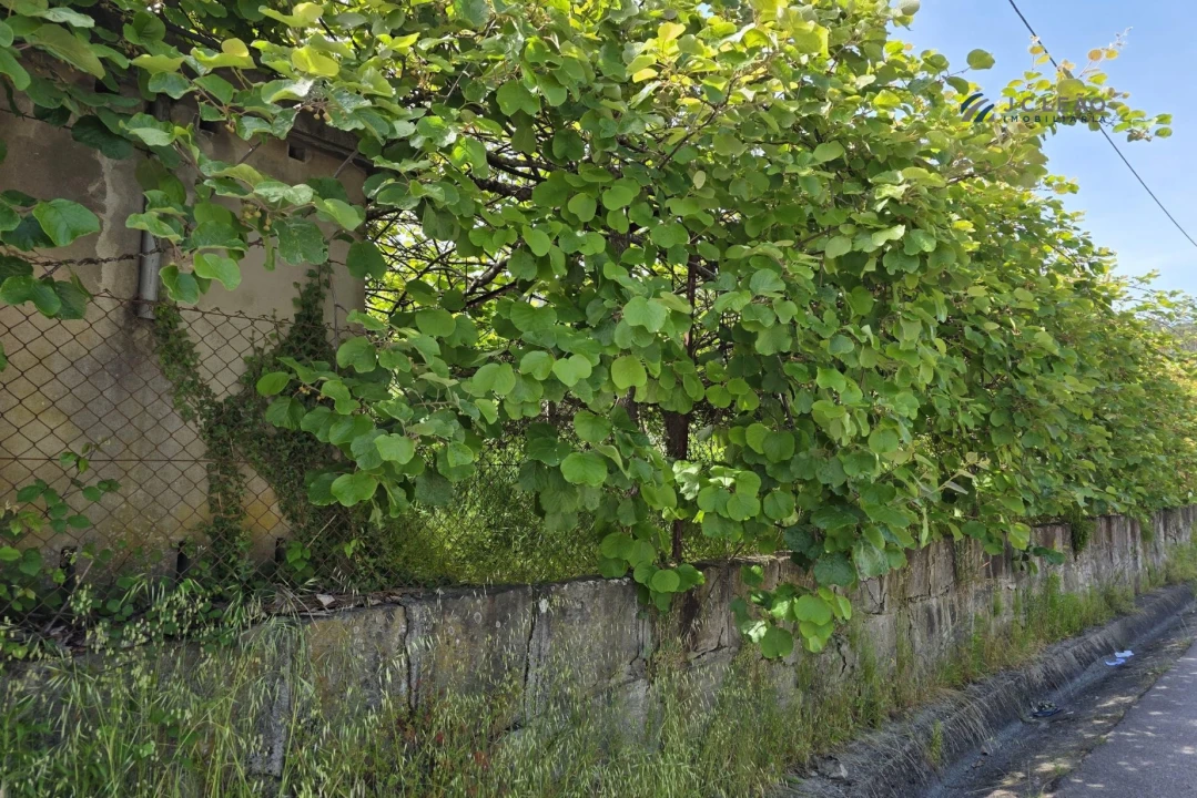 Terreno para Venda em Baltar Foto 9