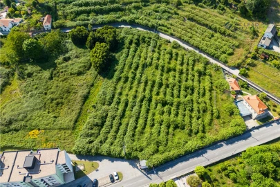 Terreno para Venda em Baltar