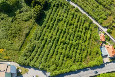 Terreno para Venda em Baltar