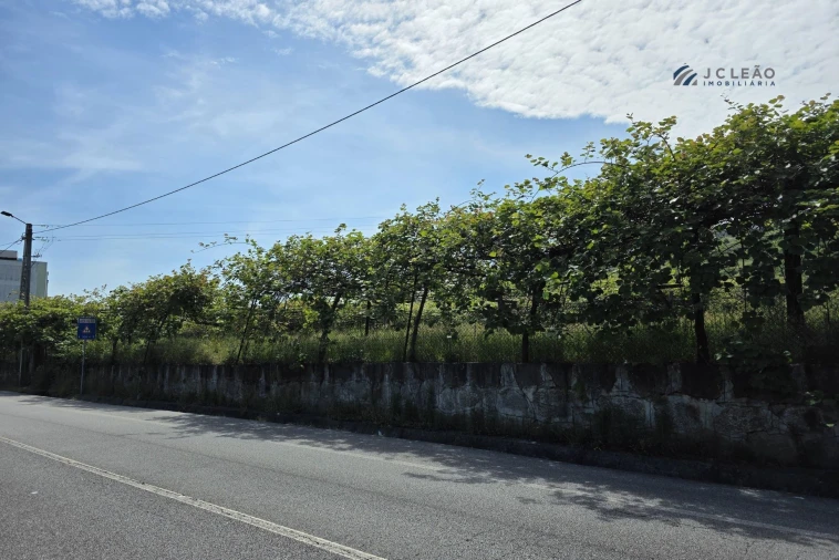 Terreno para Venda em Baltar Foto 3