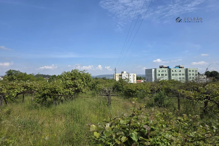 Terreno para Venda em Baltar Foto 12