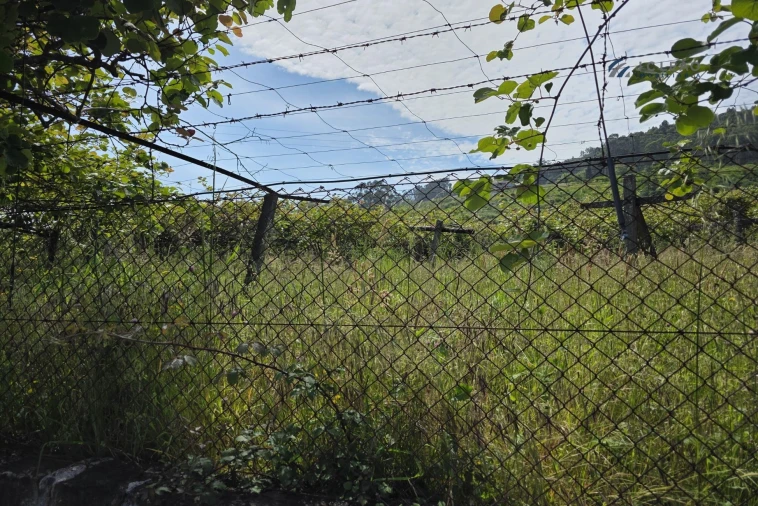 Terreno para Venda em Baltar Foto 6
