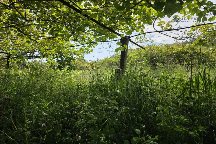 Terreno para Venda em Baltar Foto 19