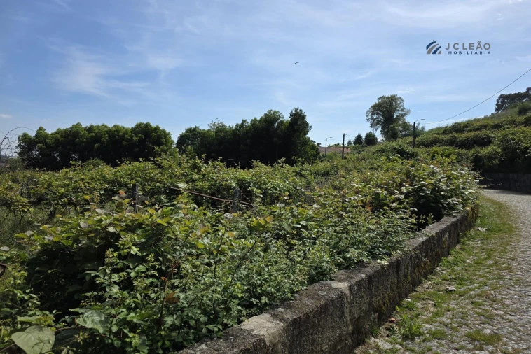 Terreno para Venda em Baltar Foto 15