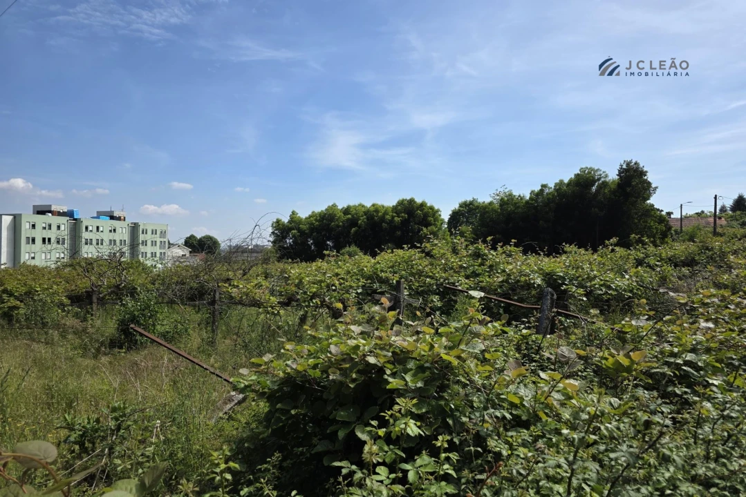 Terreno para Venda em Baltar Foto 11