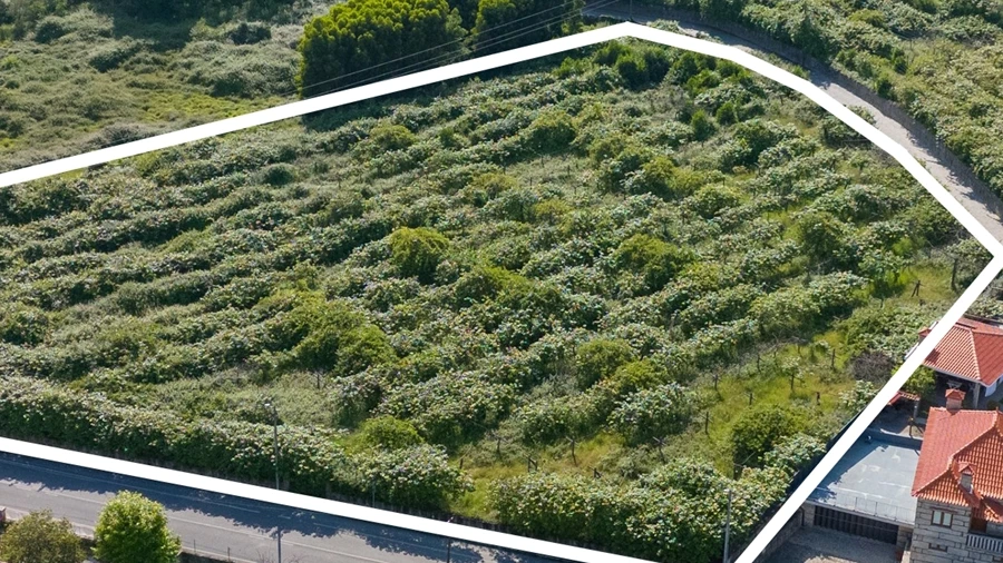 Terreno para Venda em Baltar
