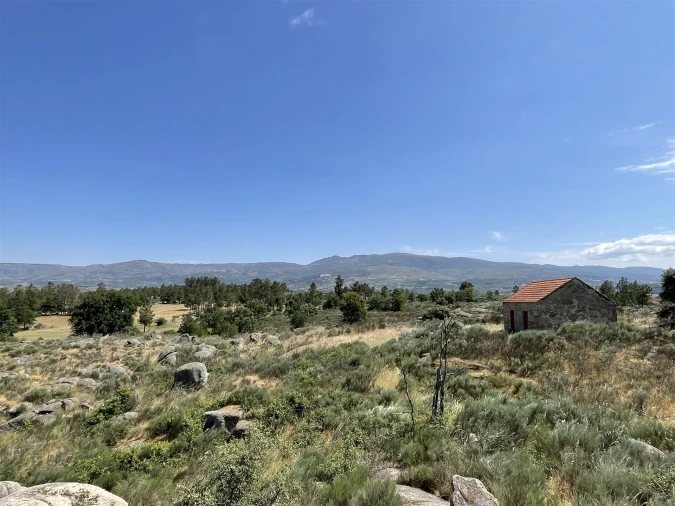 Quinta T0 para Venda em Ribamondego Foto 14