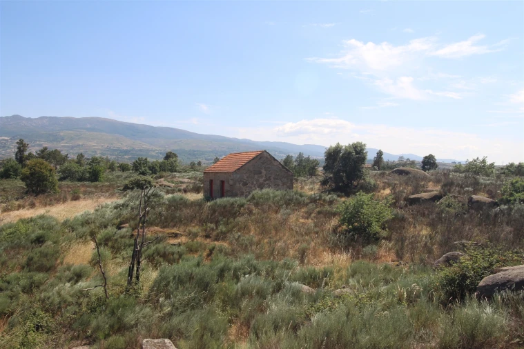 Quinta T0 para Venda em Ribamondego Foto 9