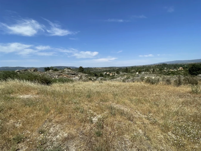 Quinta T0 para Venda em Ribamondego Foto 15