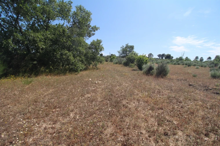 Quinta T0 para Venda em Ribamondego Foto 5