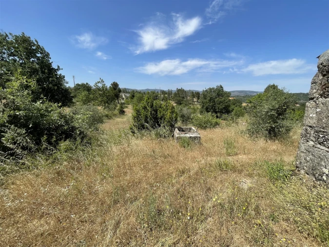 Quinta T0 para Venda em Ribamondego Foto 11