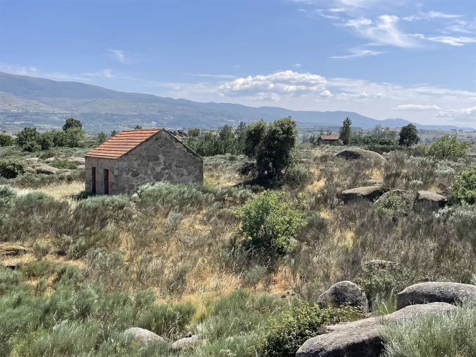 Quinta T0 para Venda em Ribamondego