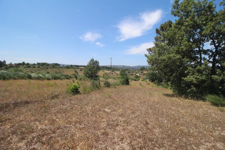 Quinta T0 para Venda em Ribamondego Foto 6