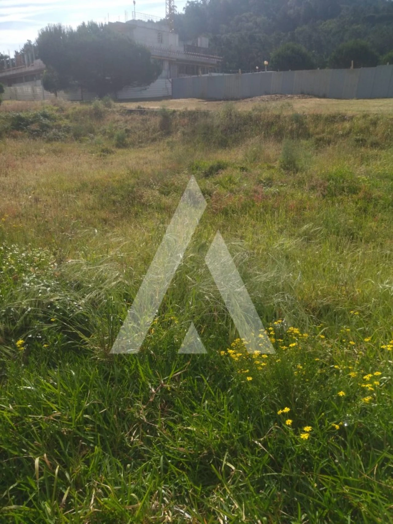 Terreno para Venda em Darque Foto 1