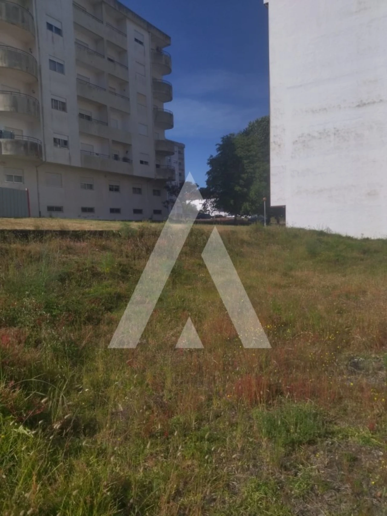 Terreno para Venda em Darque Foto 6