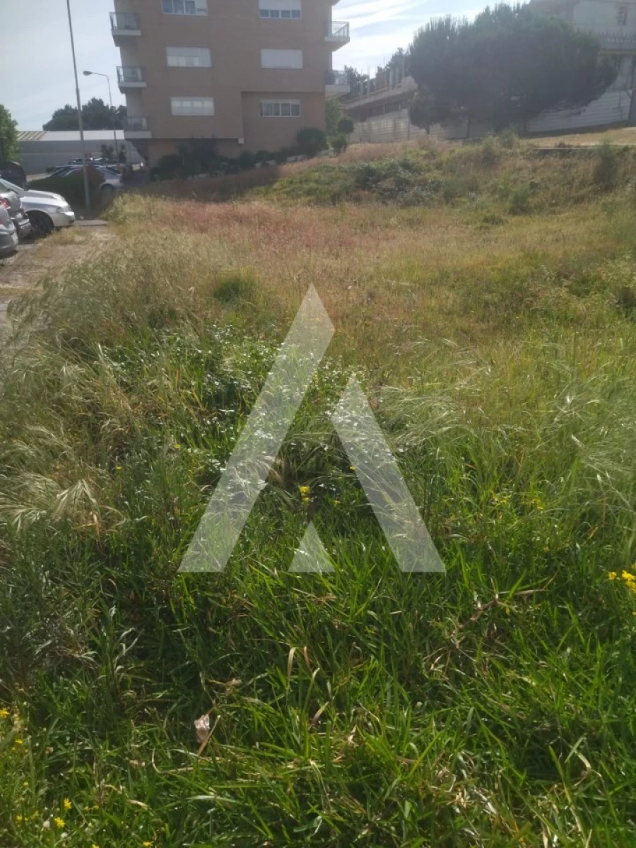 Terreno para Venda em Darque Foto 2