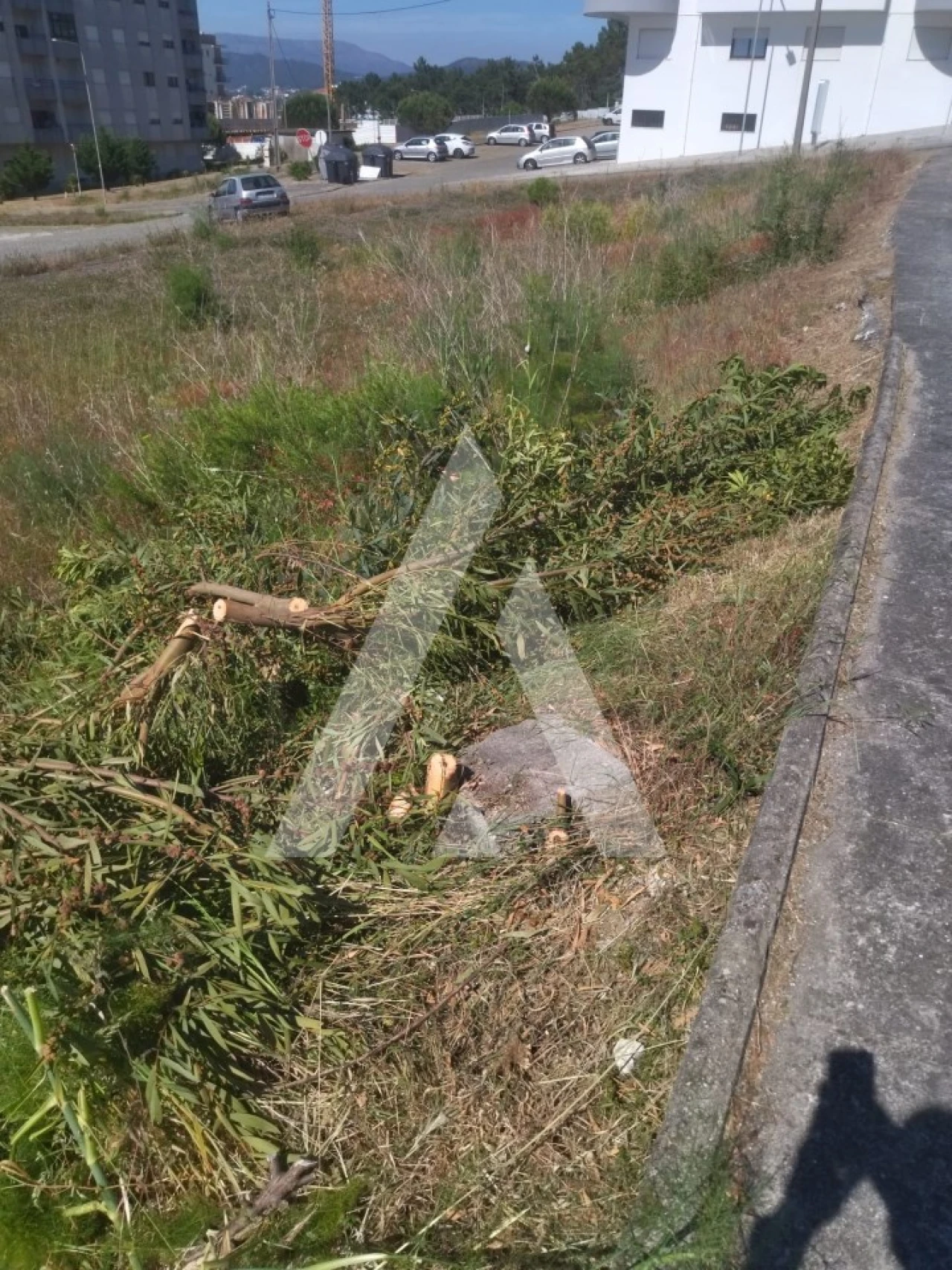 Terreno para Venda em Darque Foto 3