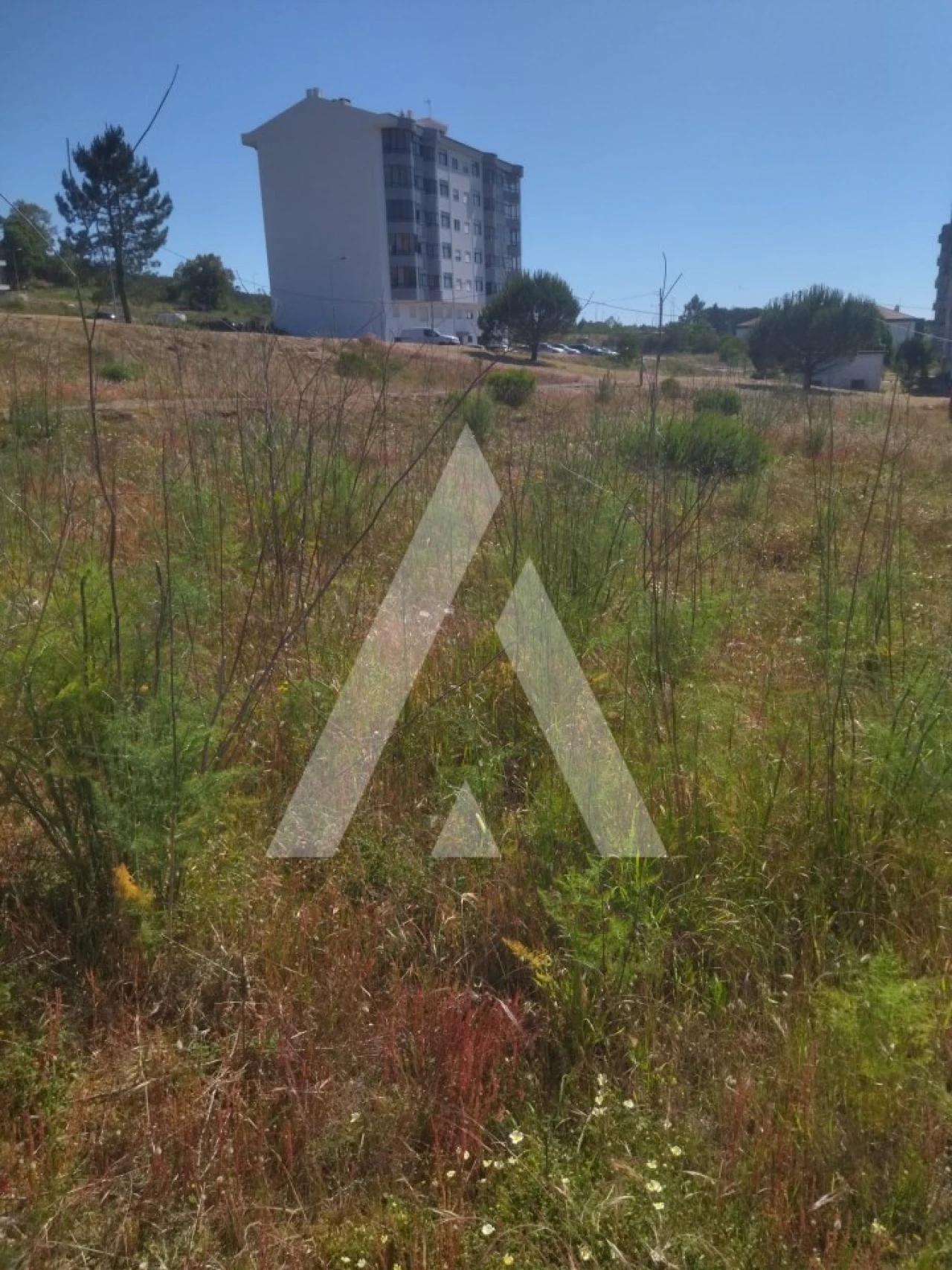 Terreno para Venda em Darque Foto 1