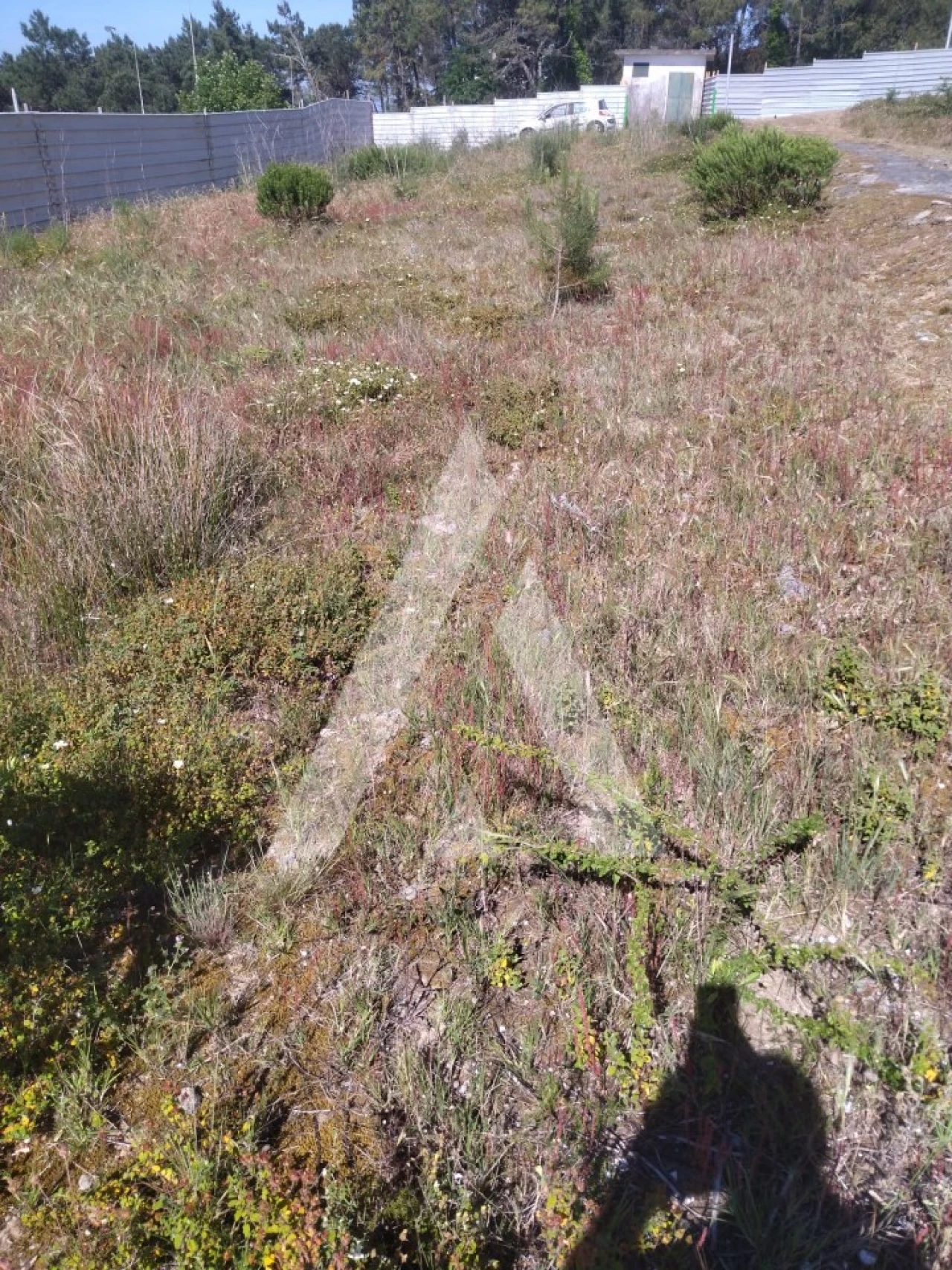 Terreno para Venda em Darque Foto 2