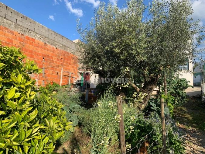 Moradia T1 para Venda em Riachos Foto 20